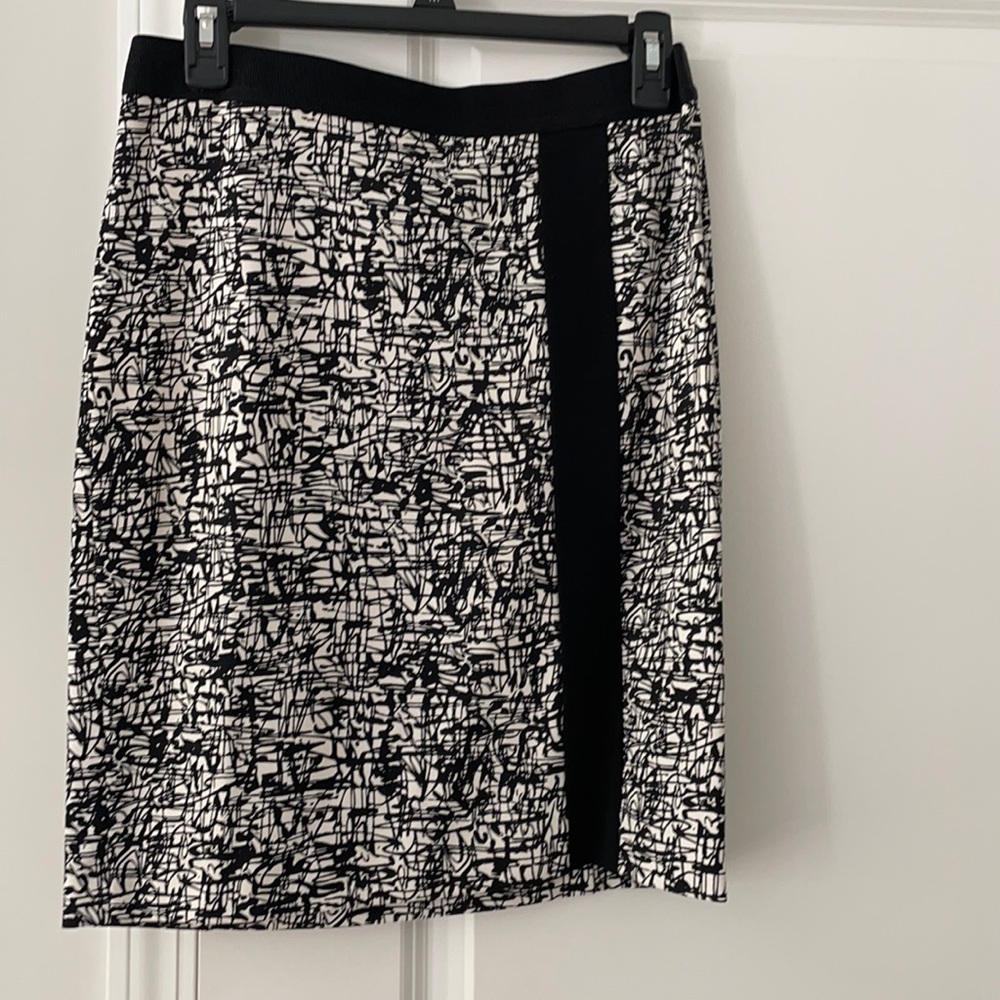 Skirt - Ann Taylor